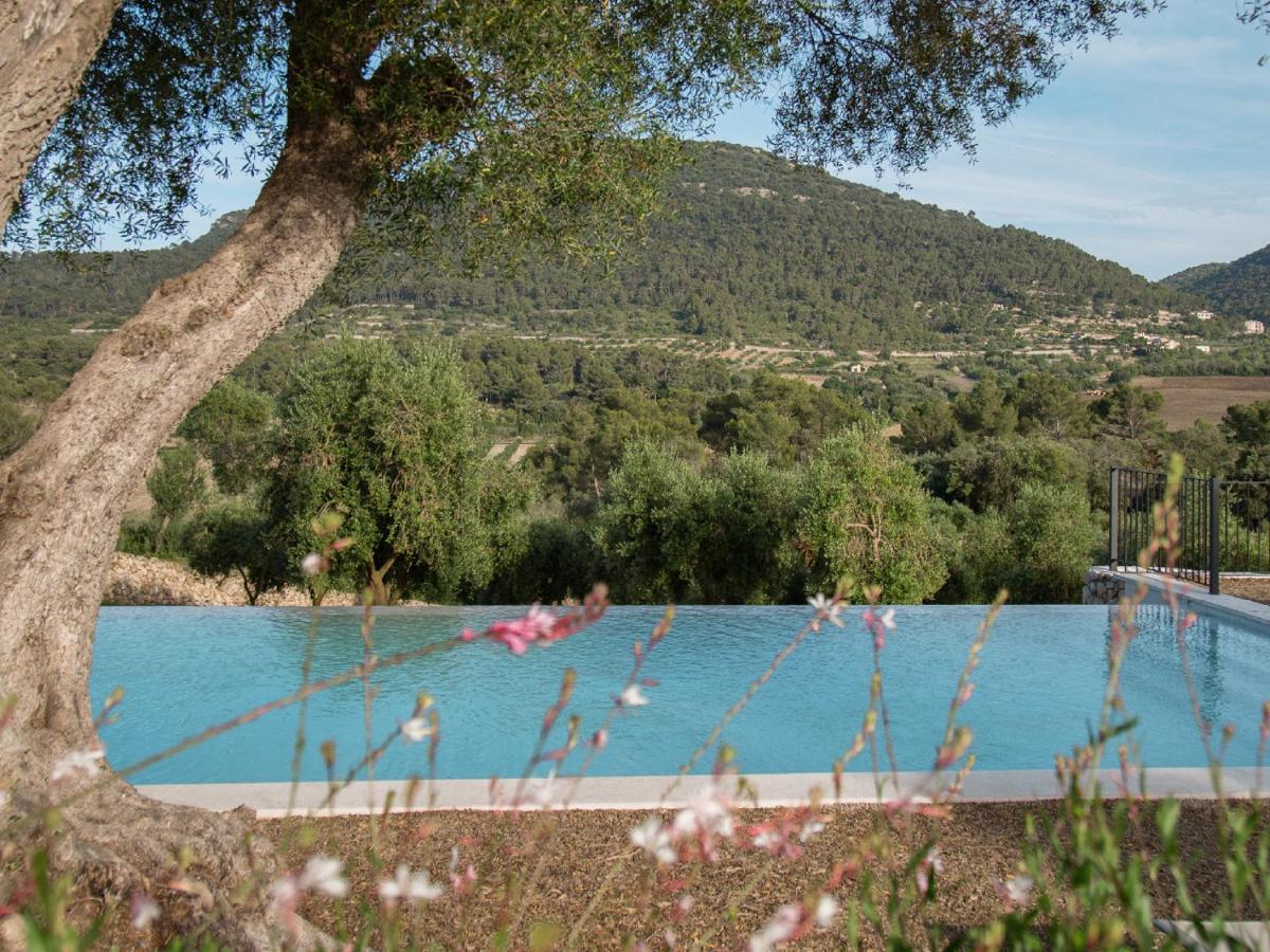 Fincahotel Treurer - Olive Grove & Grand House - Adults Only Algaida (Mallorca) Exterior foto