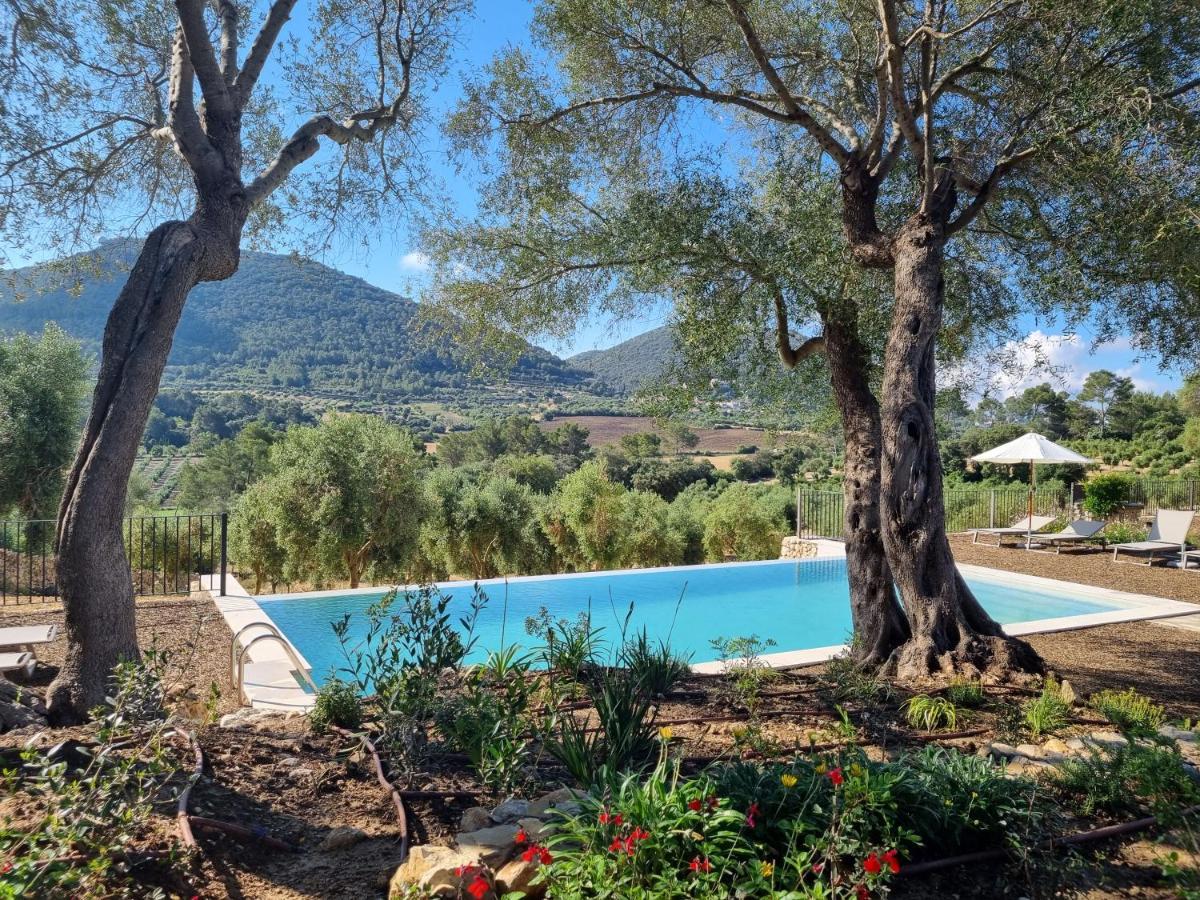 Fincahotel Treurer - Olive Grove & Grand House - Adults Only Algaida (Mallorca) Exterior foto