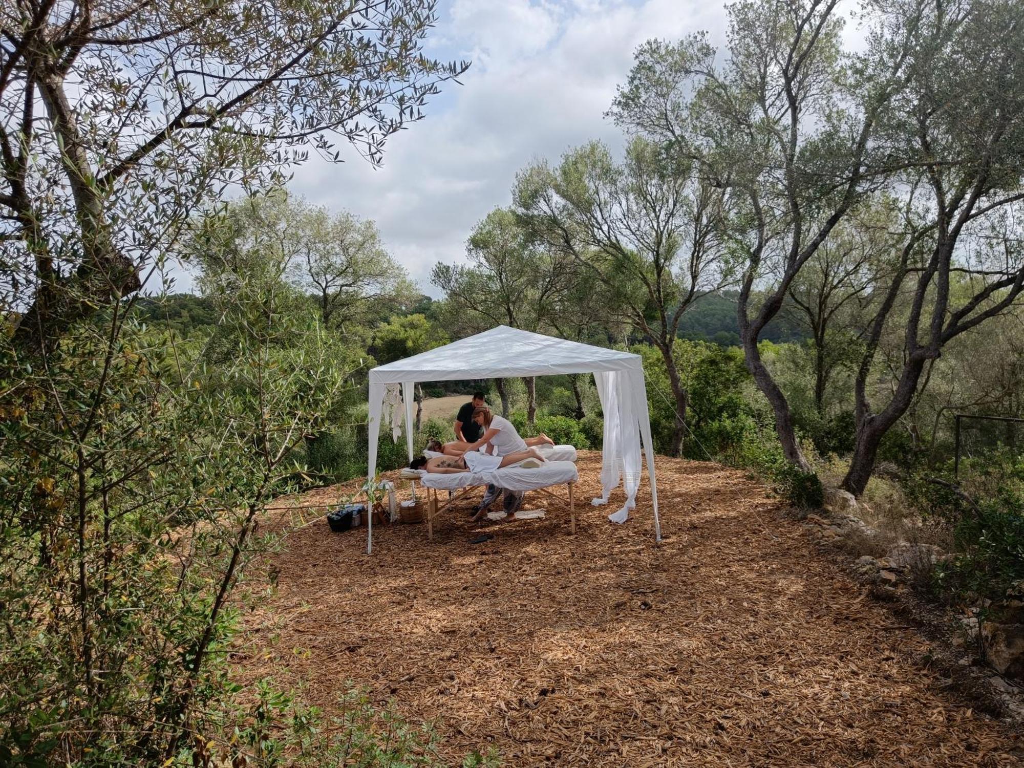Fincahotel Treurer - Olive Grove & Grand House - Adults Only Algaida (Mallorca) Exterior foto