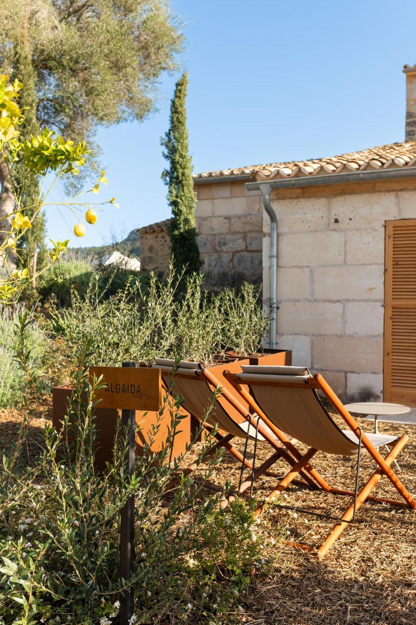 Fincahotel Treurer - Olive Grove & Grand House - Adults Only Algaida (Mallorca) Exterior foto
